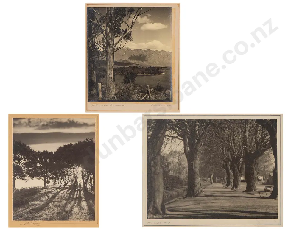 Three Vintage NZ Photographs Image 1++