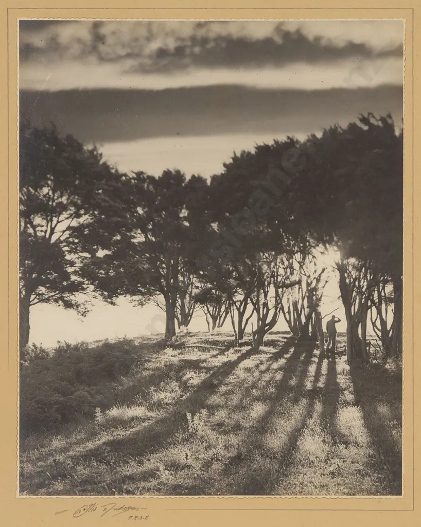 Three Vintage NZ Photographs Image 1++