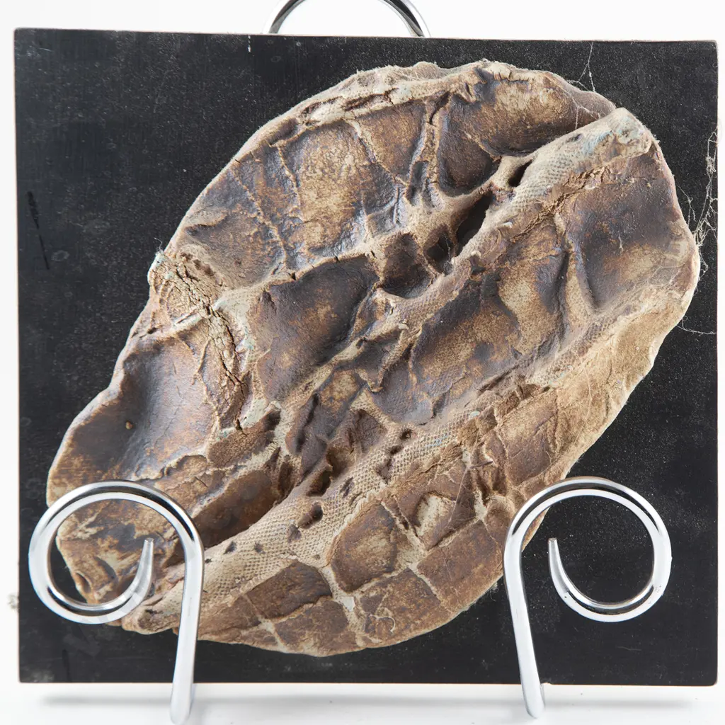 Doreen Blumhardt Rock Impression Wall Hanging Image 1++