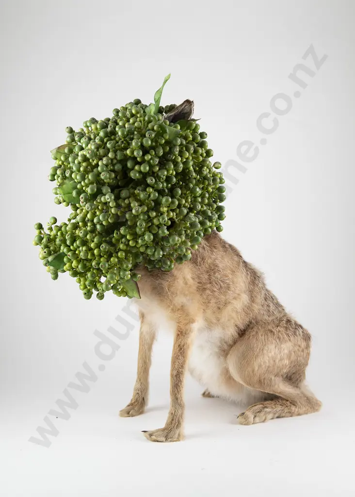 Karley Feaver - "Ralphie" Image 1++