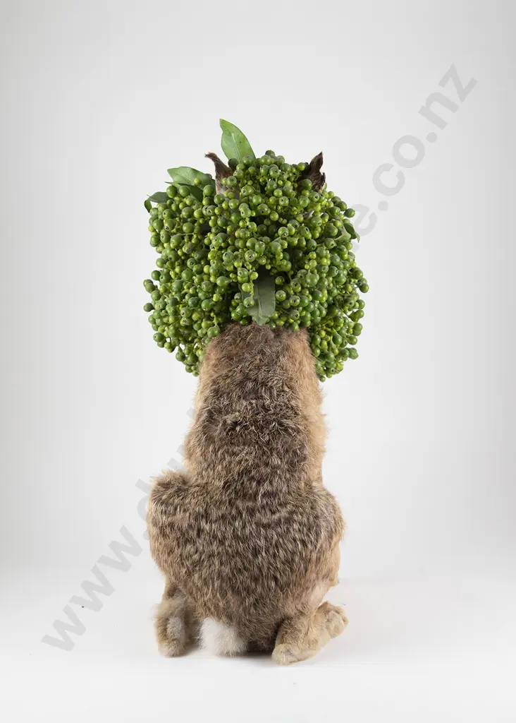 Karley Feaver - "Ralphie" Image 1++