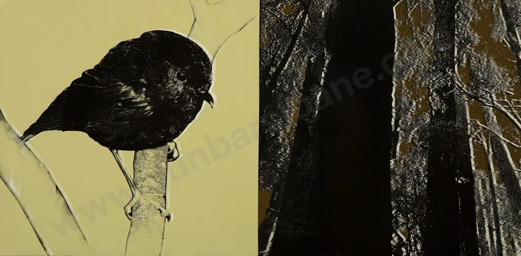 Rudolf Boelee - Chatham Island Black Robin Image 1++