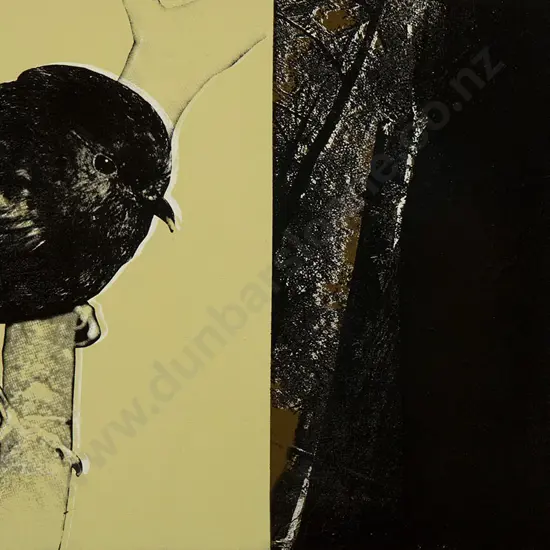 Rudolf Boelee - Chatham Island Black Robin