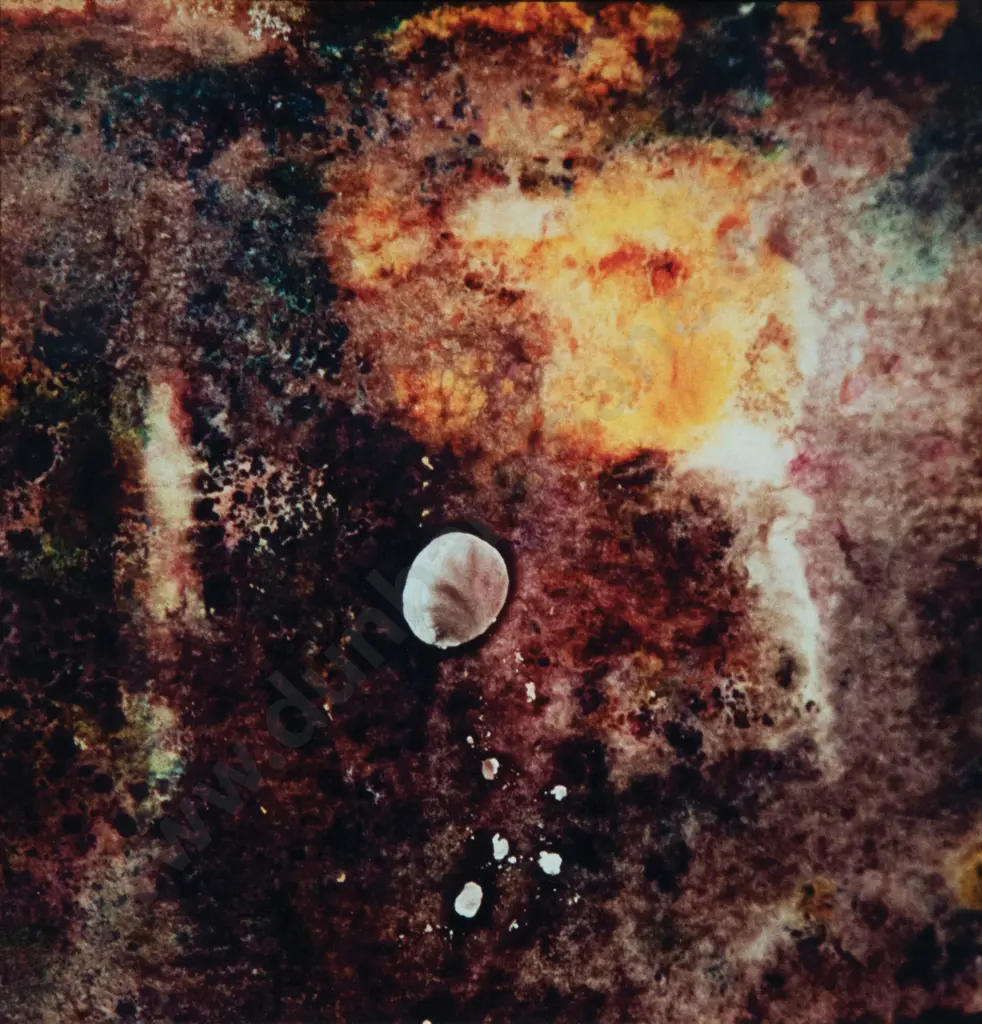 Catherine Russ - Fluid & Ghost / Traces of You (2) Image 1++