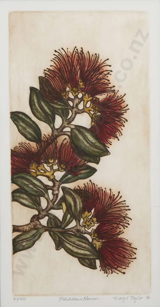 Mary Taylor - Pohutakawa Blossom Image 1++