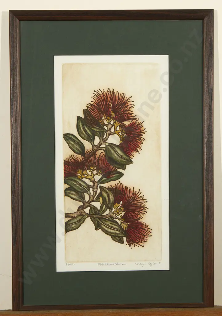 Mary Taylor - Pohutakawa Blossom Image 1++
