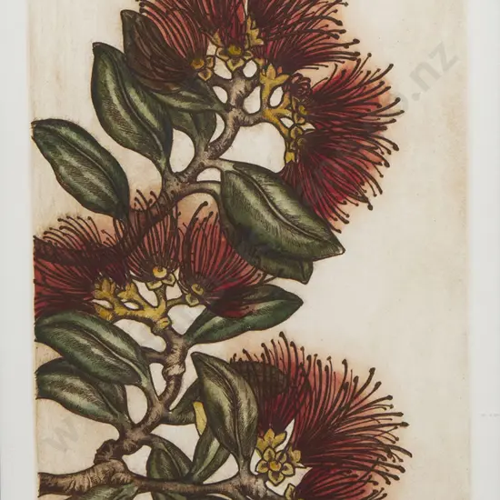 Mary Taylor - Pohutakawa Blossom