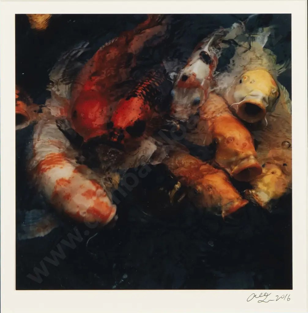 Deidre Copeland Image 1++