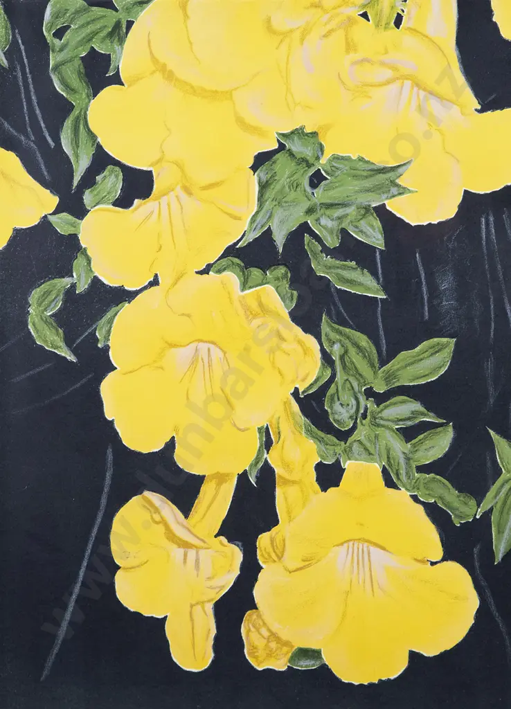 Unknown Artist - Floral Lithograph Image 1++