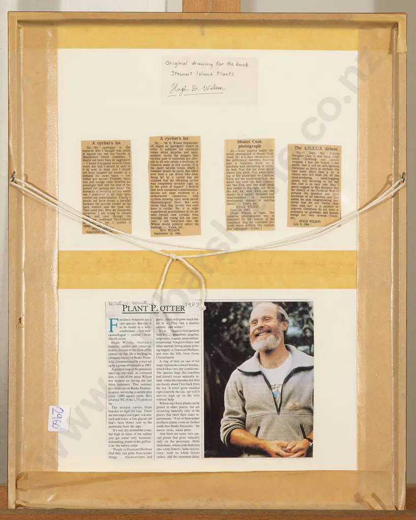 Hugh Wilson - Original Drawing for 'Stewart Island Plants' Image 1++