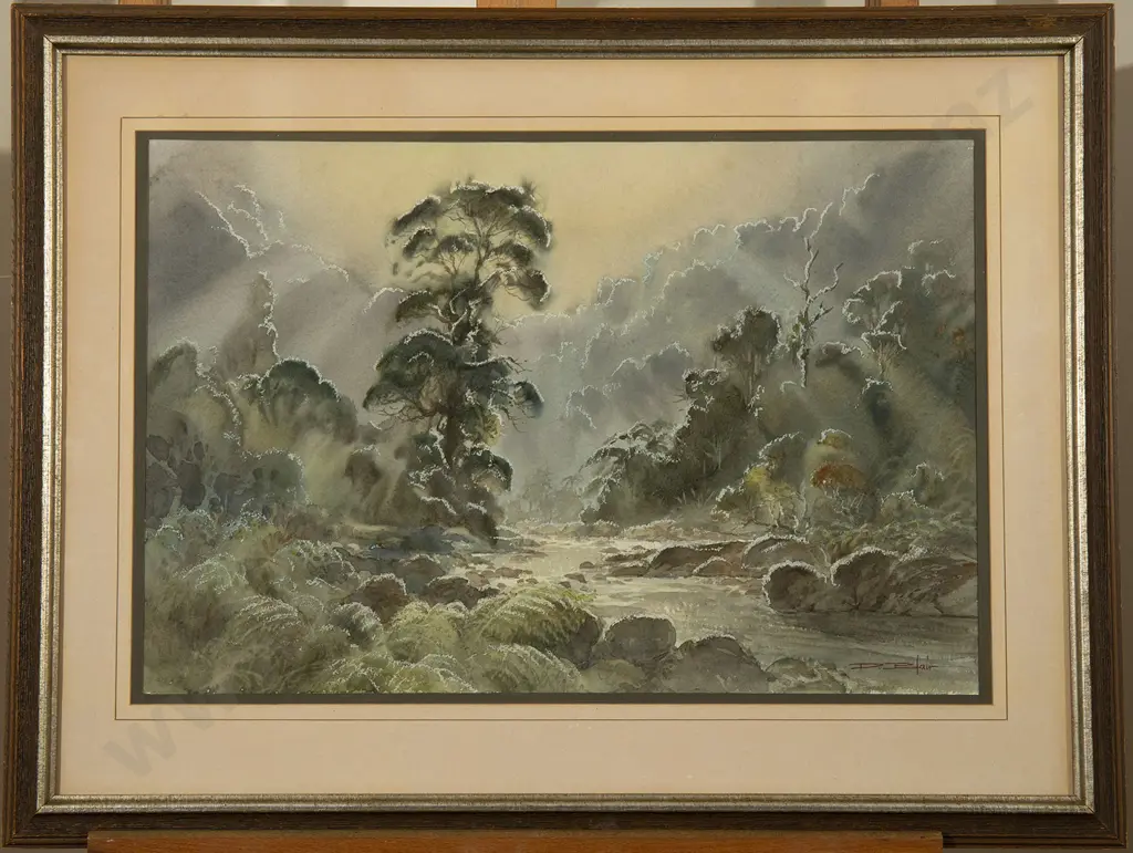 D Blair - NZ Mountain Stream Image 1++