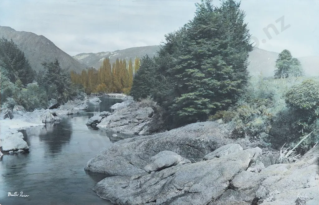 Whites Aviation Hand Coloured Photo of the Buller River Image 1++