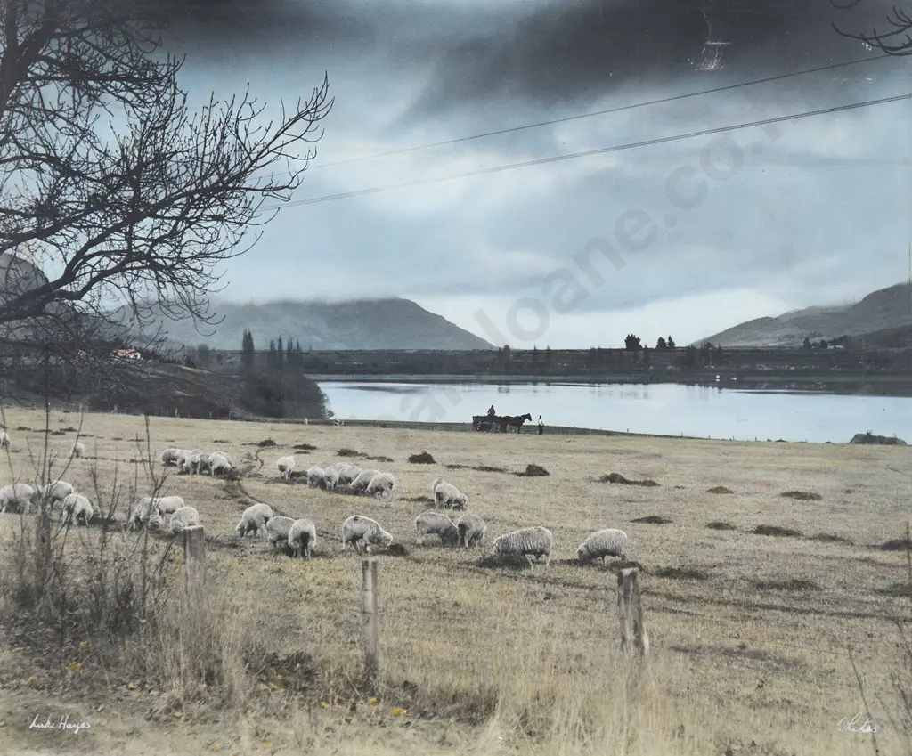 Whites Aviation Hand Coloured Photo of Lake Hayes Image 1++