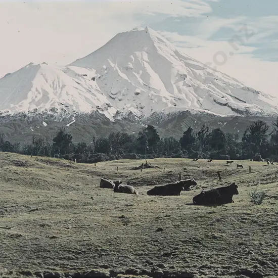 Whites Aviation Hand Coloured Photo of Mt Egmont
