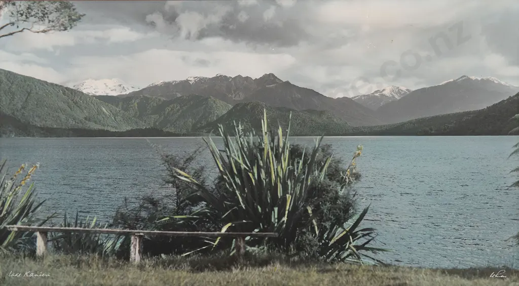 Whites Aviation Hand Coloured Photo of Lake Kaniere Image 1++