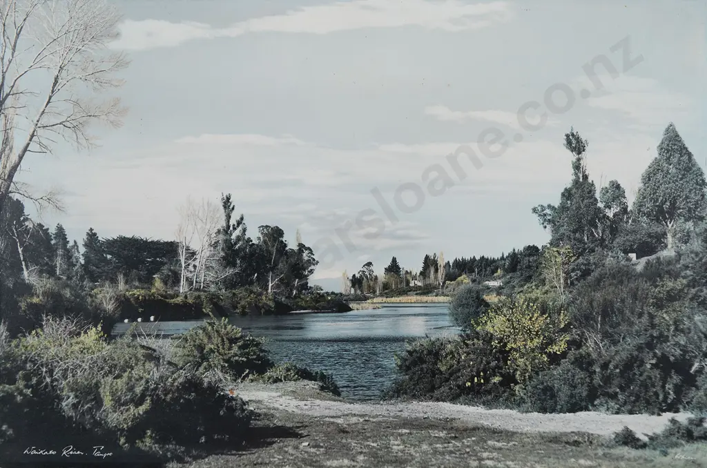 Whites Aviation Hand Coloured Photo of Waikato River Image 1++