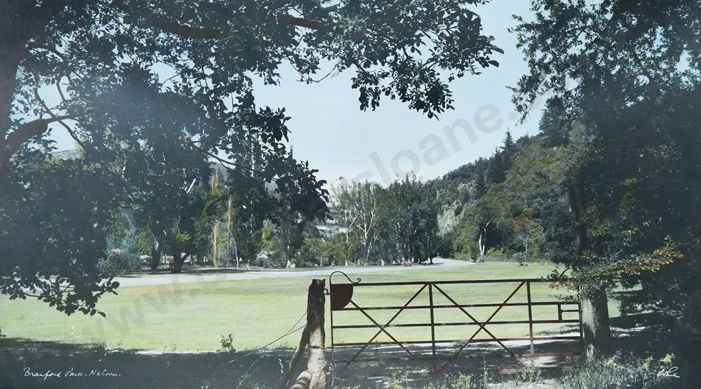 Whites Aviation Hand Coloured Photo of Branford Park Image 1++