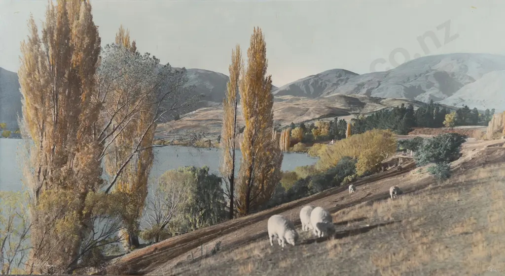 Whites Aviation Hand Coloured Photo of Lake Hayes Image 1++