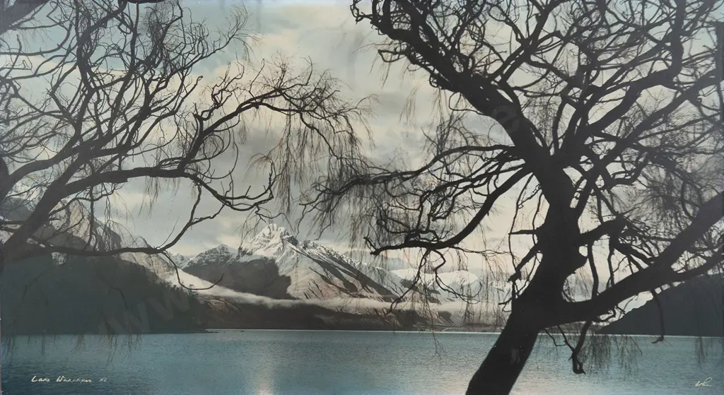 Whites Aviation Hand Coloured Photo of Lake Wakatipu Image 1++