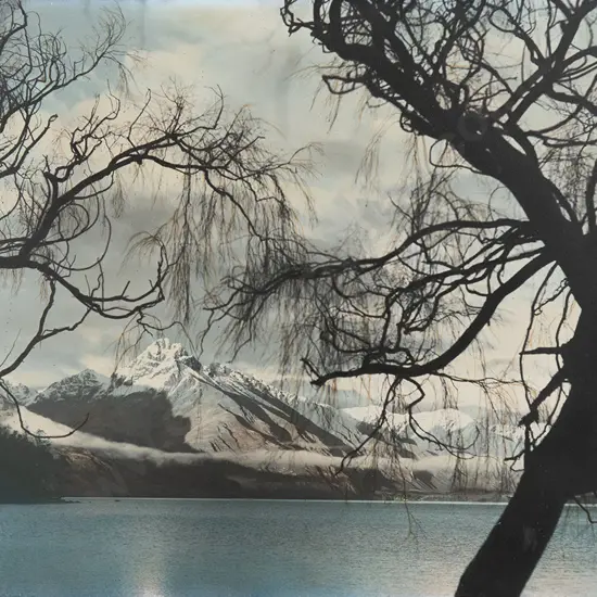 Whites Aviation Hand Coloured Photo of Lake Wakatipu