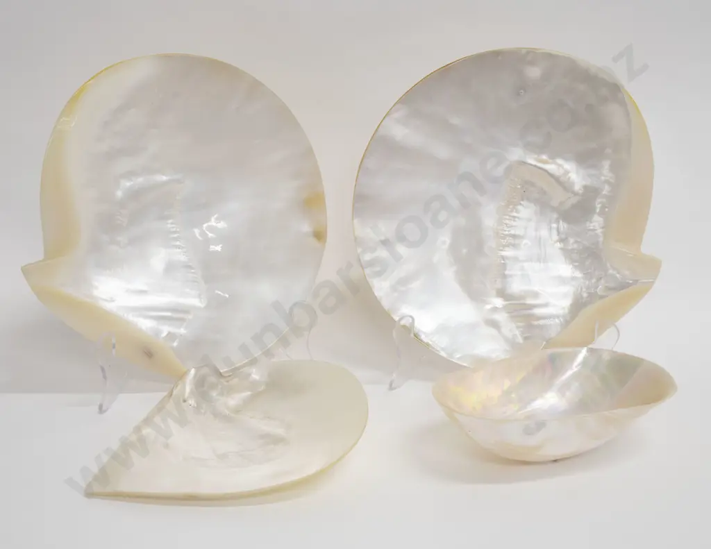 Four MOP Shell Dishes Image 1++