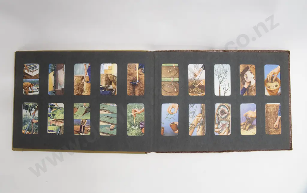 Box of Assorted Vintage including Frames Image 1++