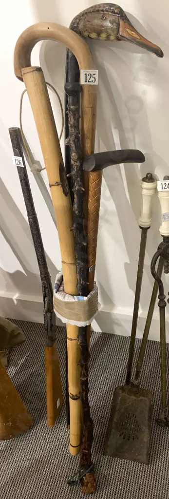 Five Assorted Walking Sticks Image 1++