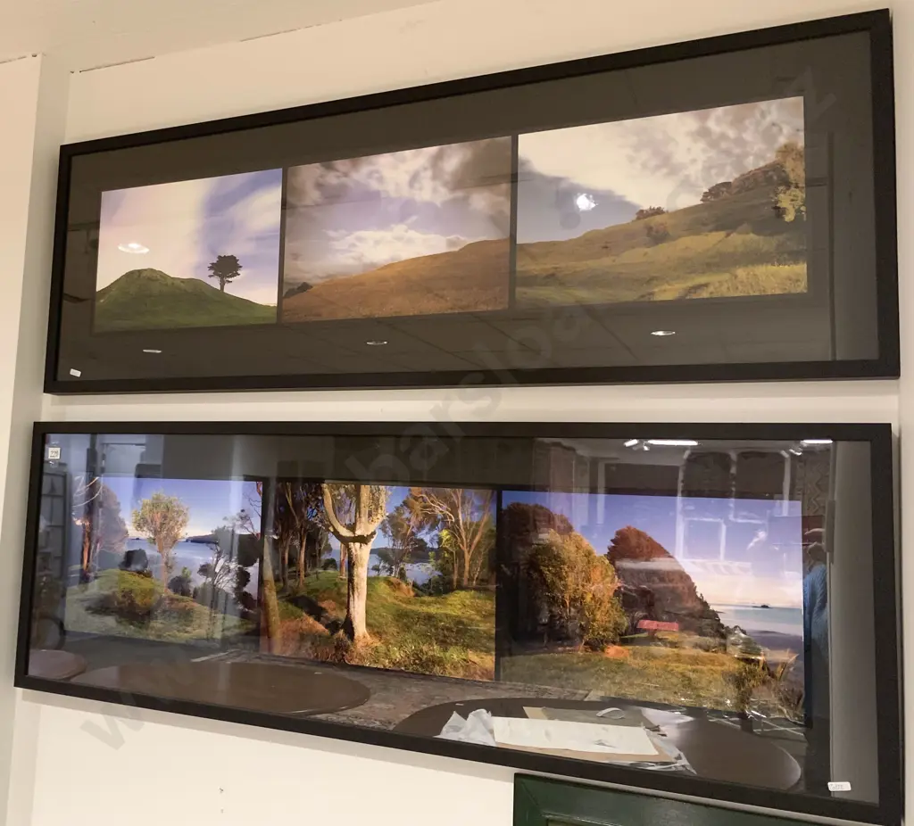 Pair of NZ Landscape Photographs Image 1++