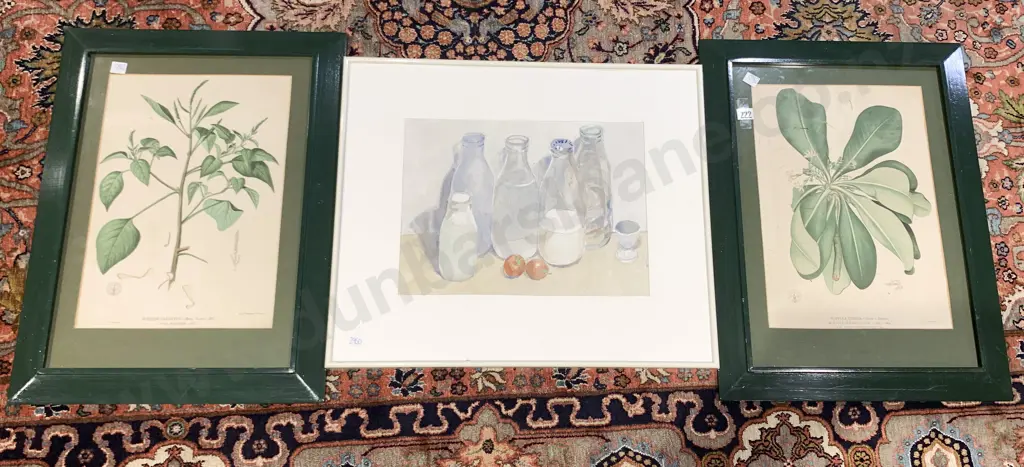 Watercolor Still Life and Two Botanical Prints (3) Image 1++