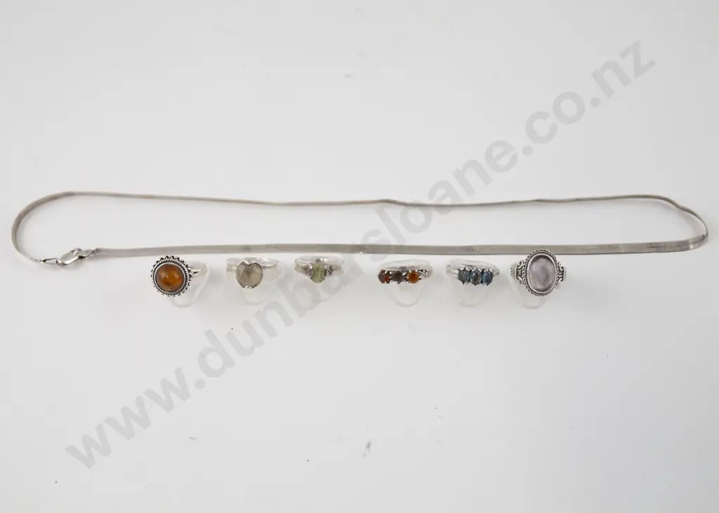 S/S Flat Neck Chain and six rings Image 1++
