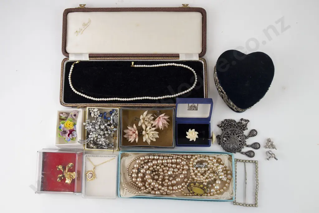 Collection Costume Jewellery Image 1++