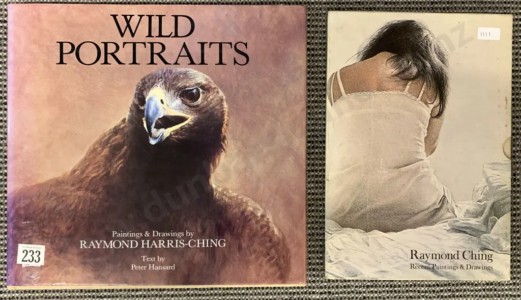 Two Raymond Ching Books Image 1++