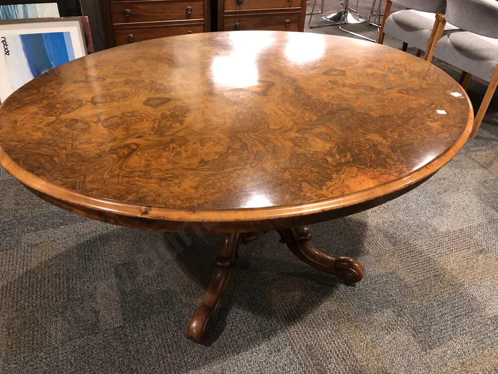 Vict Burr Walnut Oval Dining Table Image 1++