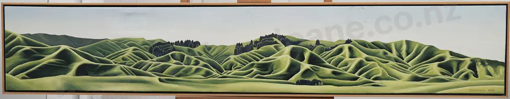 D B G Goodwin (c1988-2012) - South of Te Kuiti Image 1++
