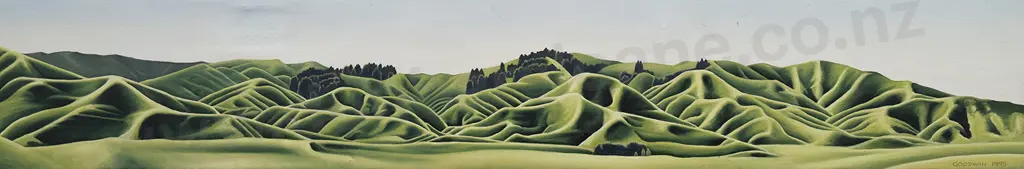 D B G Goodwin (c1988-2012) - South of Te Kuiti Image 1++