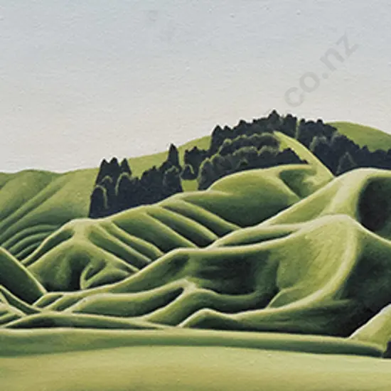 D B G Goodwin (c1988-2012) - South of Te Kuiti