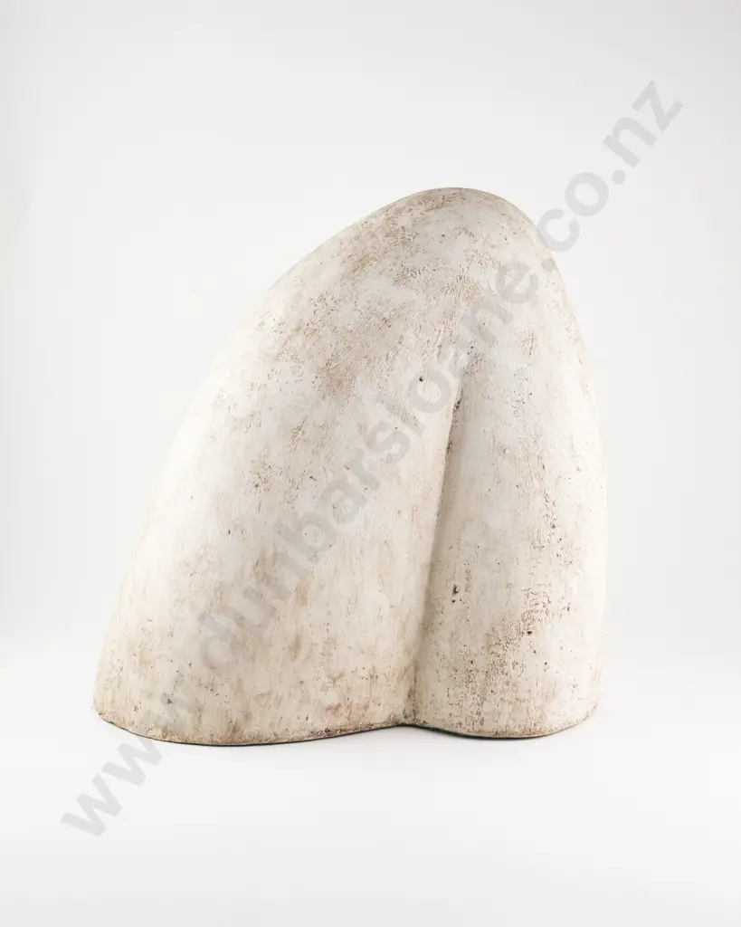Raewyn Atkinson - Landform Image 1++