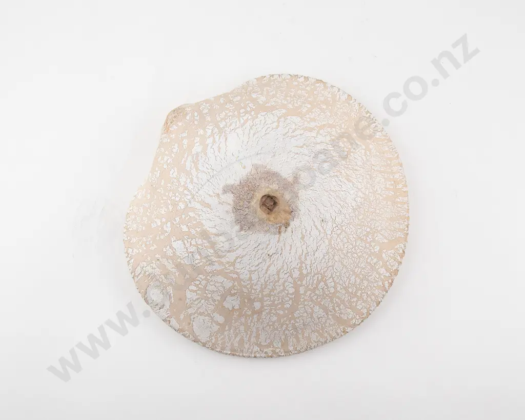 Len Castle Avian Bowl Image 1++