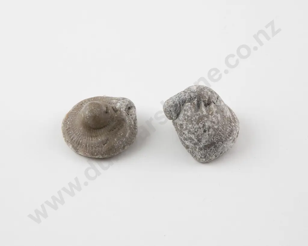 Len Castle Conical Fossil Form Image 1++