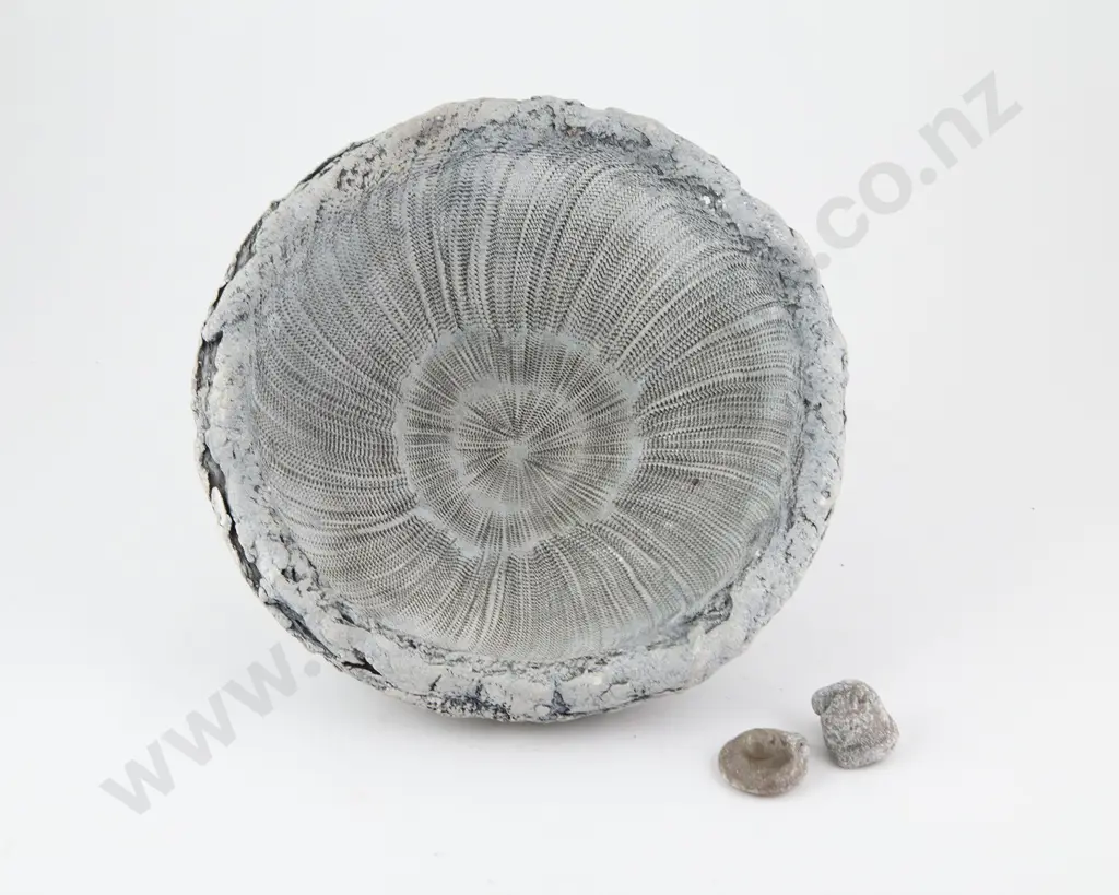 Len Castle Conical Fossil Form Image 1++