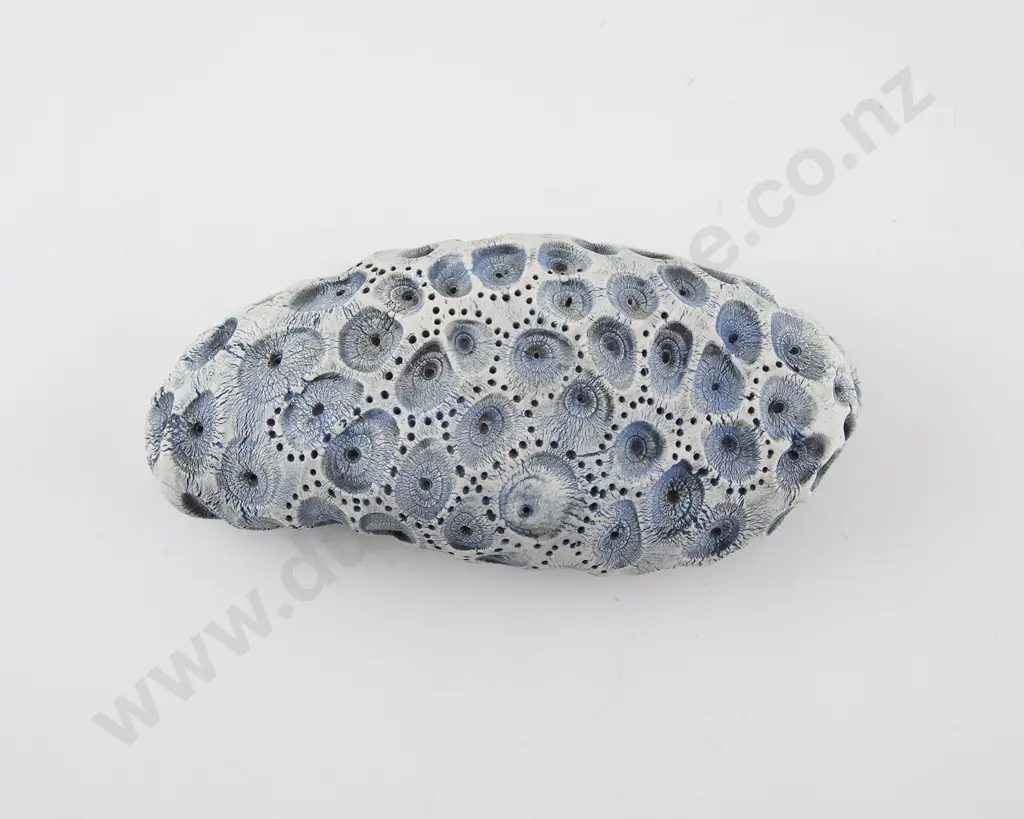 Len Castle Fossil Form Image 1++
