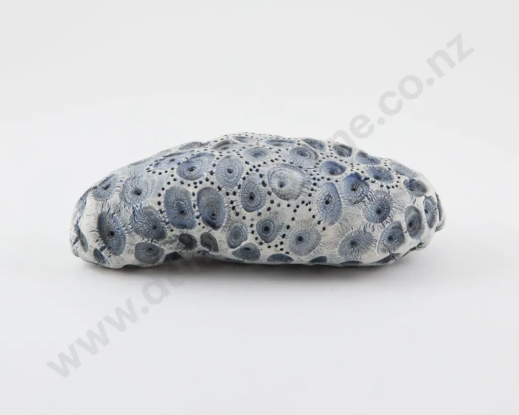 Len Castle Fossil Form Image 1++