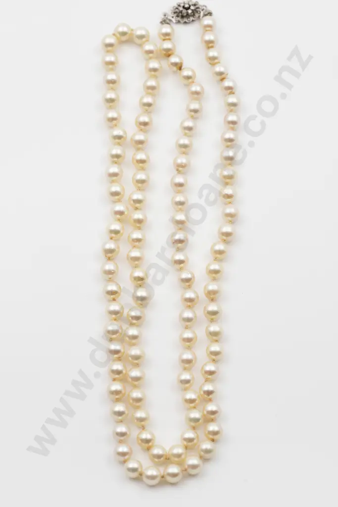 Uniform Single Strand Cultured Pearl Necklace Image 1++