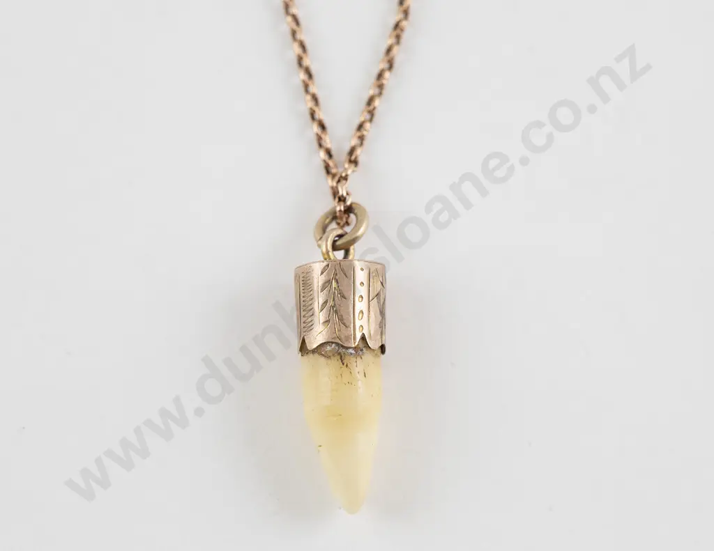 Possible NZ C19th 9ct Mounted Kuri Tooth Image 1++