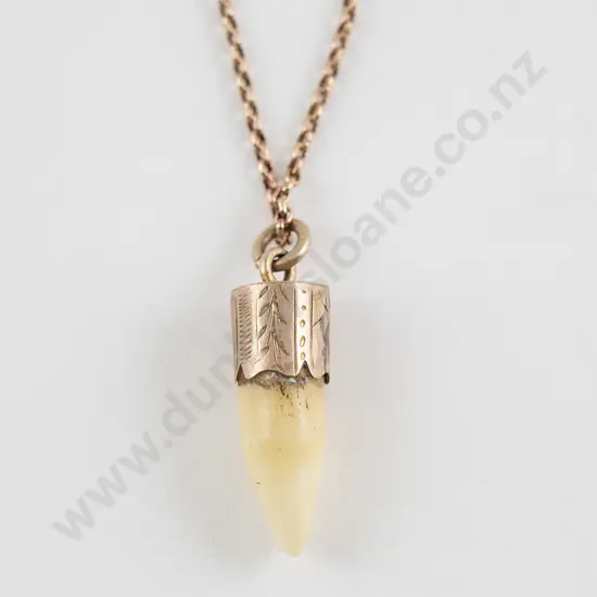 Possible NZ C19th 9ct Mounted Kuri Tooth