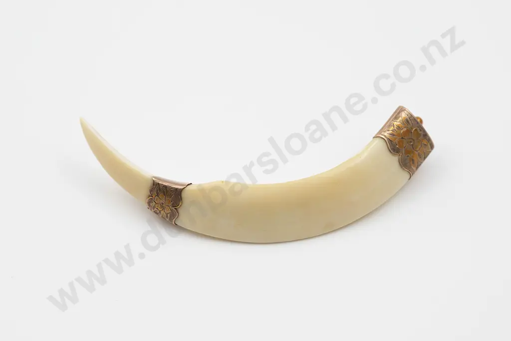 NZ Colonial 9ct Mounted Boar Tusk Brooch Image 1++