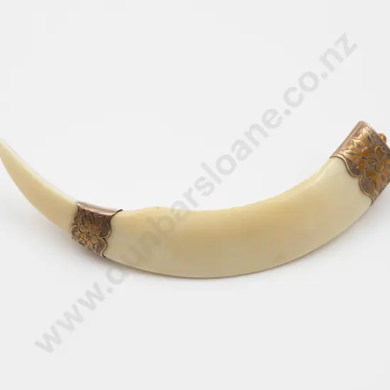 NZ Colonial 9ct Mounted Boar Tusk Brooch