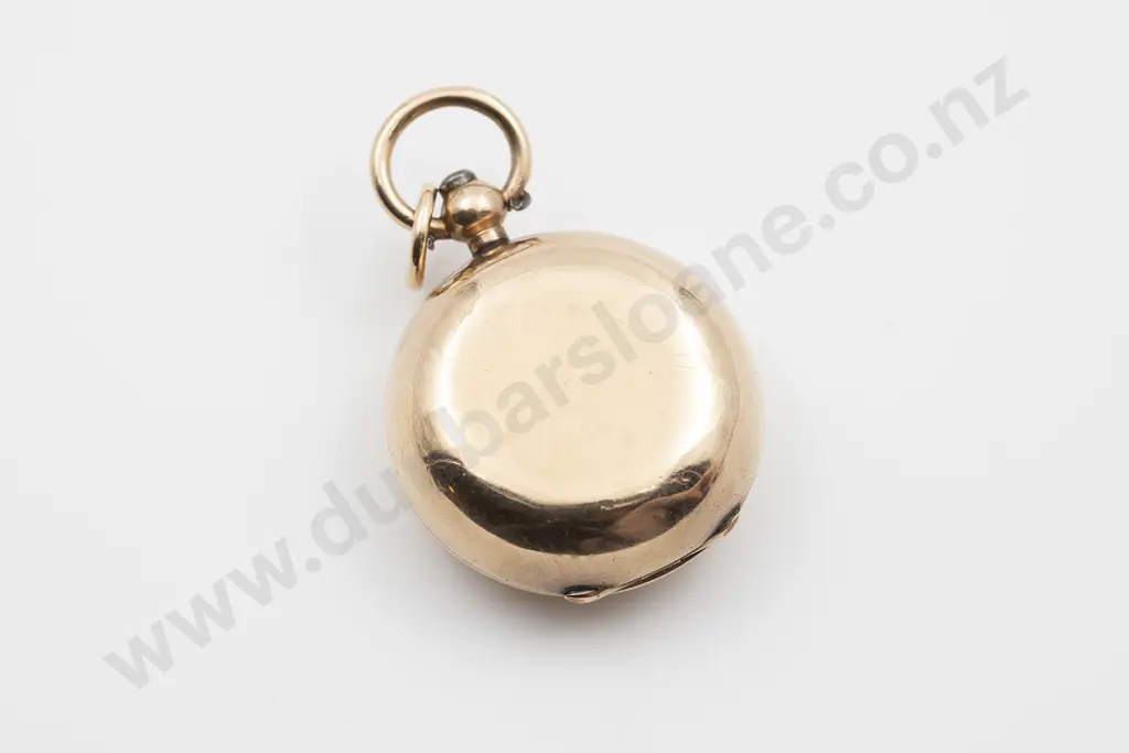 9ct Sovereign Case Image 1++