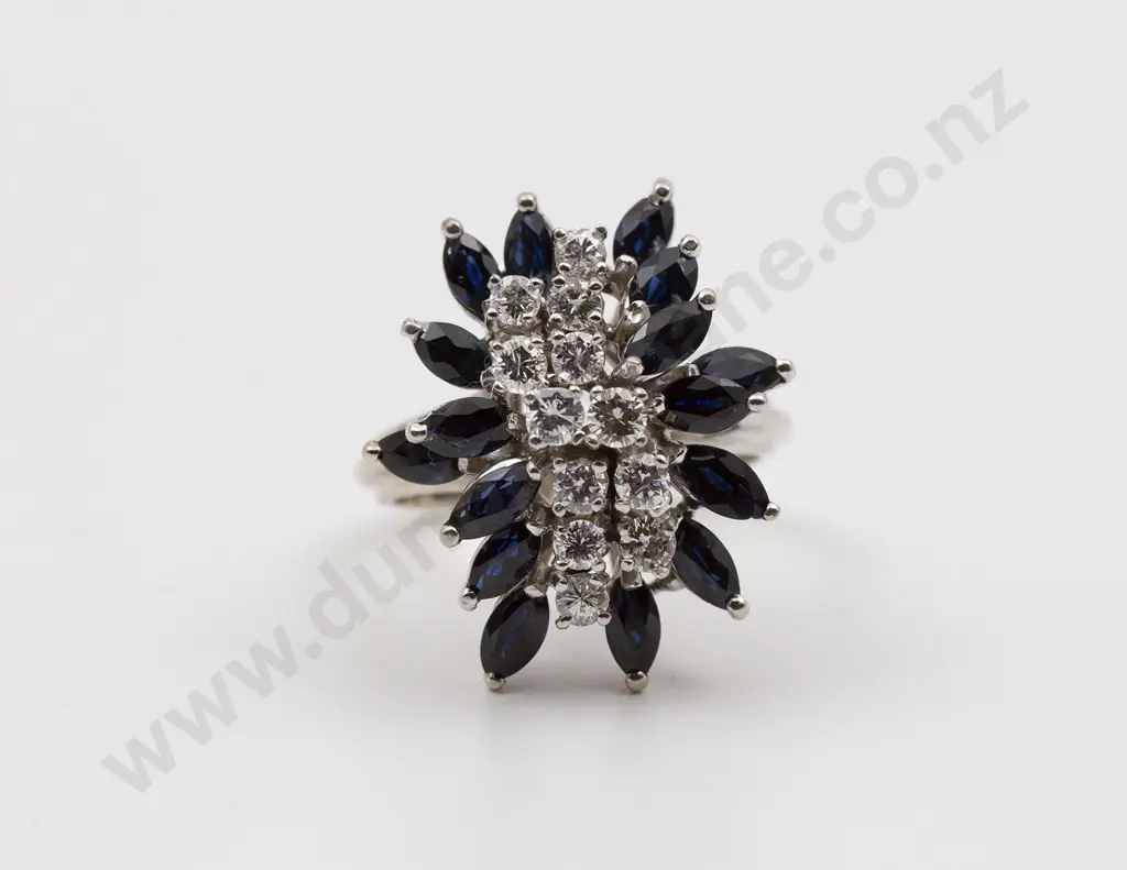 18ct White Gold 27stone Sapphire and Diamond Princess Style Cluster Ring Image 1++