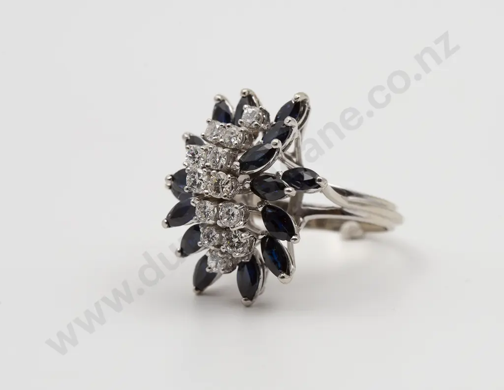 18ct White Gold 27stone Sapphire and Diamond Princess Style Cluster Ring Image 1++